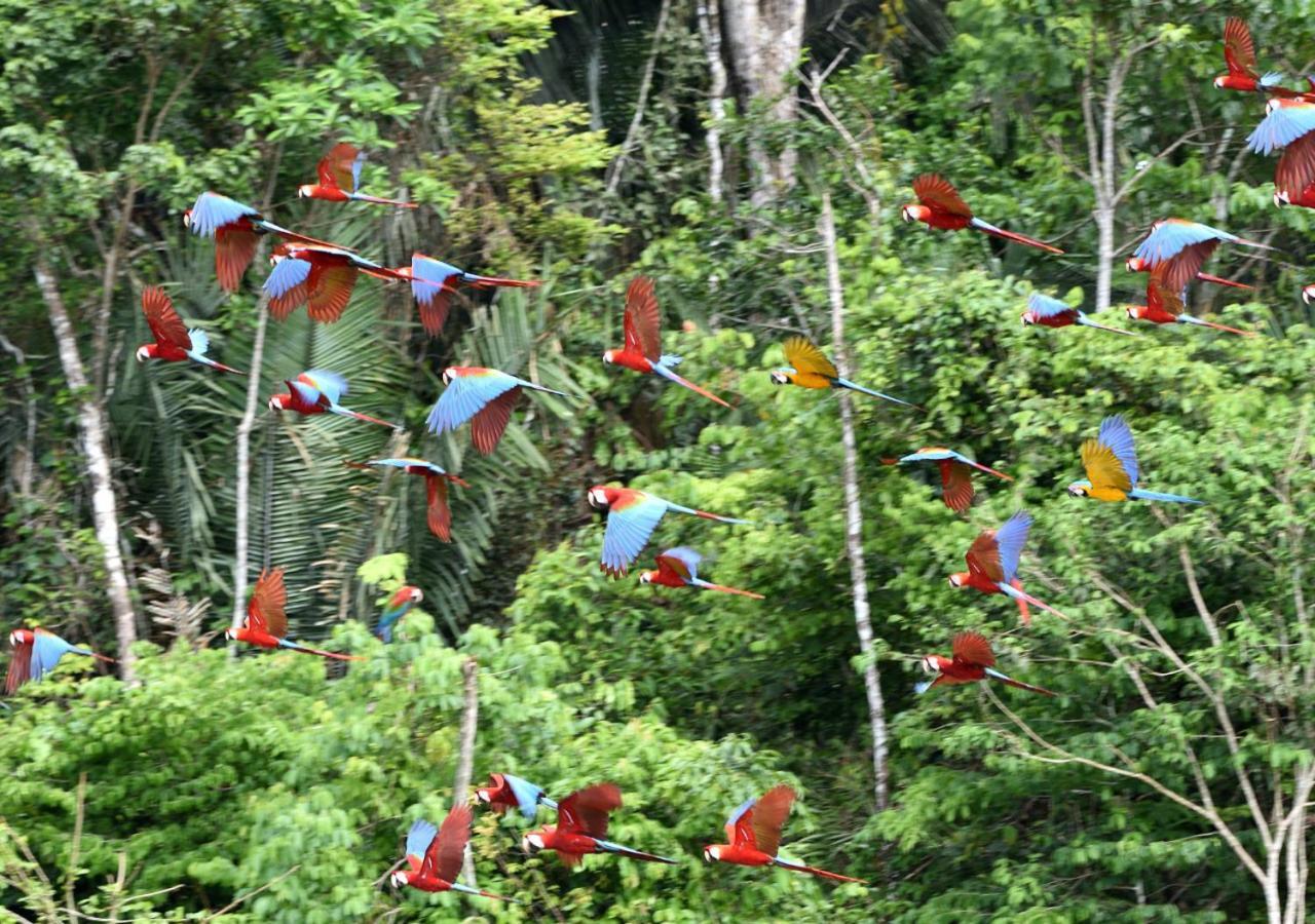 Refugio Amazonas Lodge Tambopata Exteriör bild